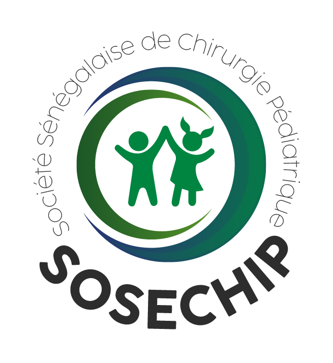 logo 2 vid sosechip